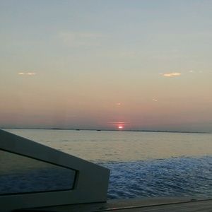 Meet your Posher, Patty